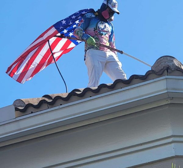 Roof Washing Service