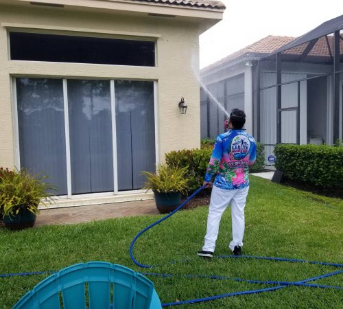 Window Cleaning Service