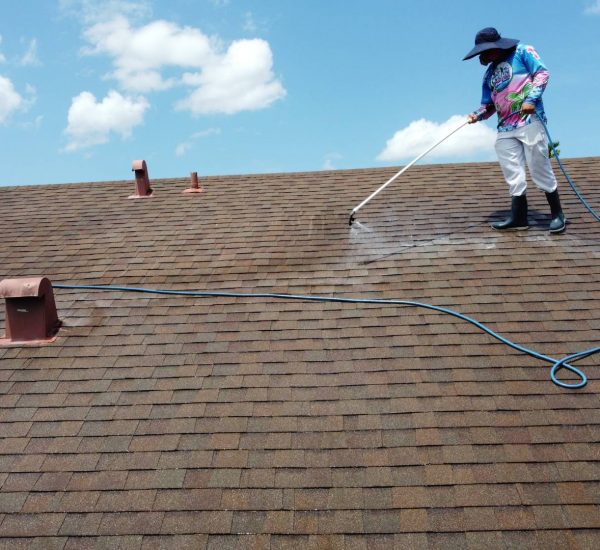 Clean Master professional washing roof of home