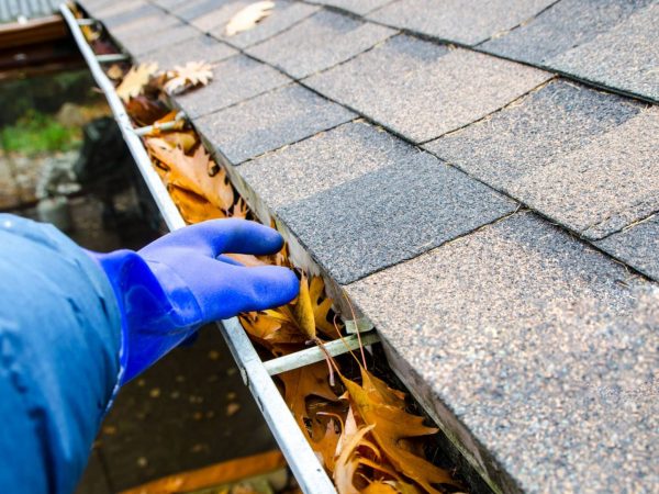 Roof cleaning