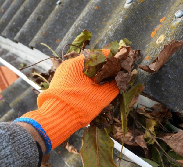 gutter-cleaning-3