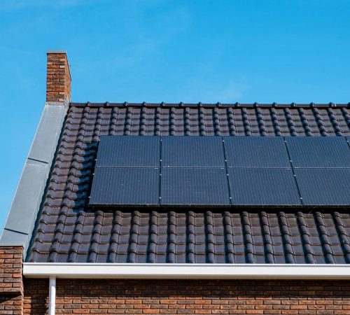 Solar Panel Cleaning