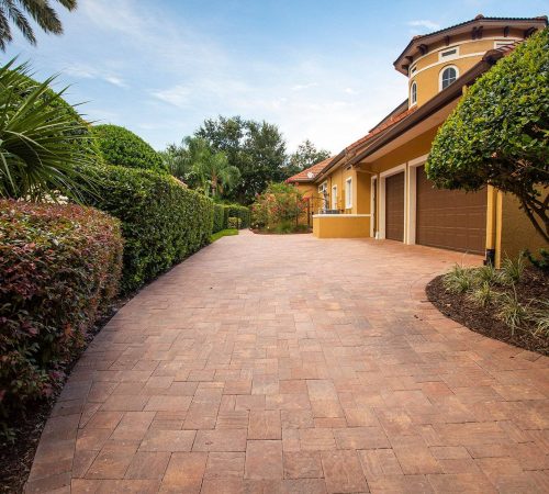 paver plantings driveway tree