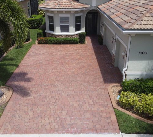 Solar Panel Cleaning