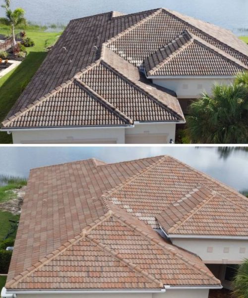 Roof Washing Service