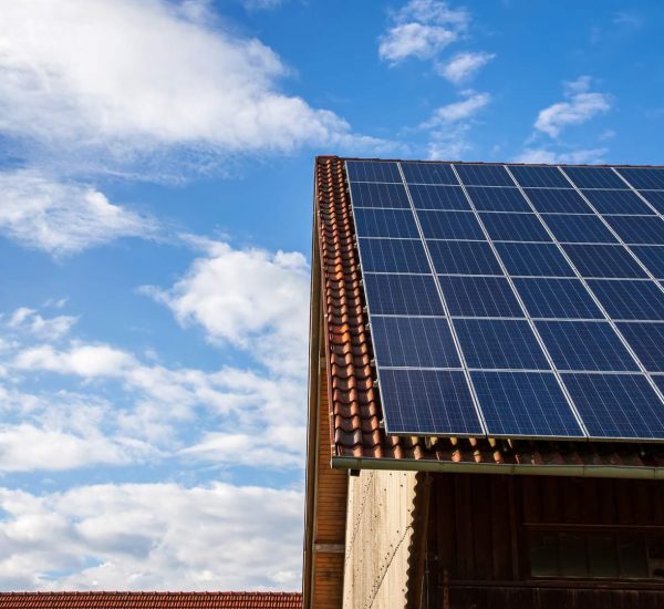 Solar Panel Cleaning