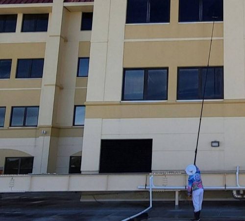 Window Cleaning Service