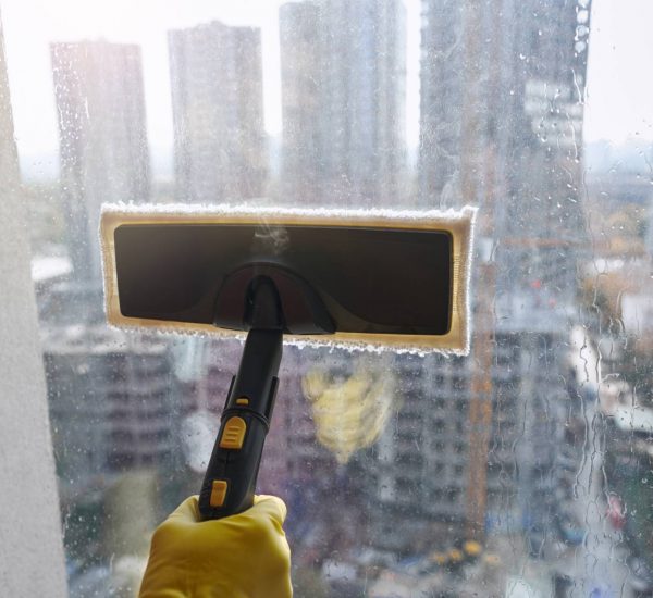 window-cleaning-img Window Cleaning